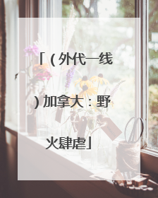 （外代一线）加拿大：野火肆虐